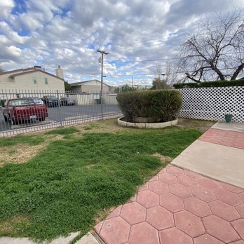 Vision Community Management - Clover taken over in the pool area - Property Management Near Me - Phoenix, Arizona Vision Community Management - Clover taken over in the pool area - Property Management Near Me - Phoenix, Arizona