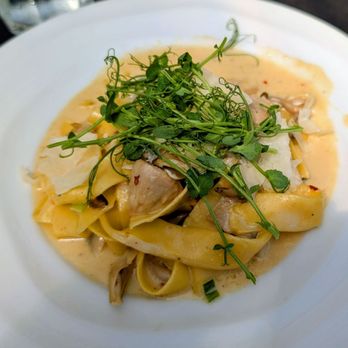 The Front Yard - Truffle Mushroom Pasta ($32) - Mediterranean Near Me - Ogunquit, Maine