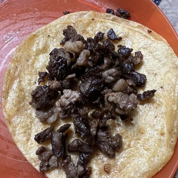 Los Alteños - a tortilla on a plate - Mexican Near Me - Hammond, Indiana