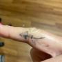 Photo of Ink Devotion Tattoo and Body Piercings