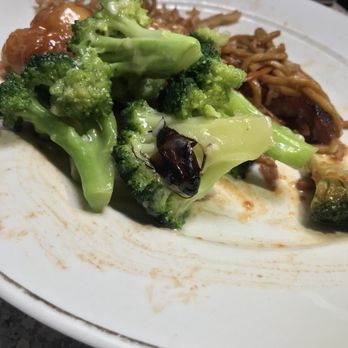Mandarin Restaurant - Chinese Near Me - New City, New York