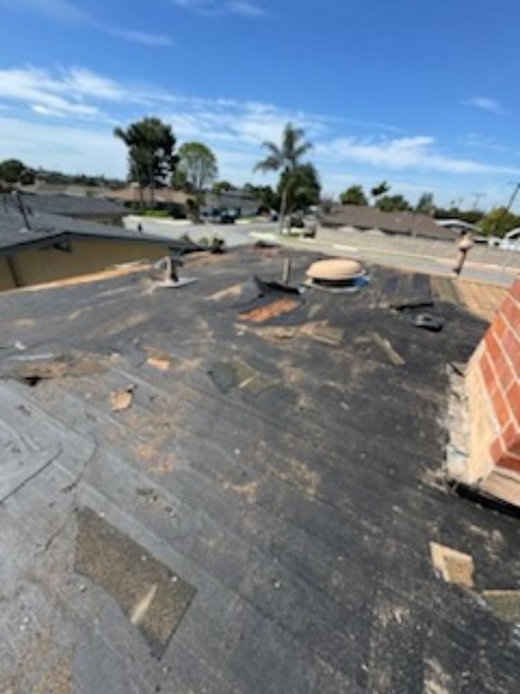 Slide of Immaculate Services