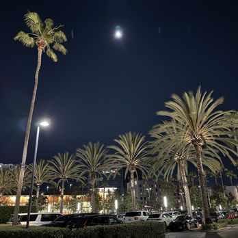 Ruth's Chris Steak House - Beautiful and peaceful evening in Irvine. - Steakhouses Near Me - Irvine, California