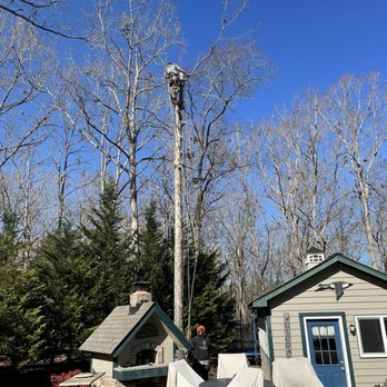 Tree Techs of Rock Hill - Tree Services Near Me Tree Techs of Rock Hill - Tree Services Near Me
