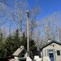 Photo of Tree Techs of Rock Hill