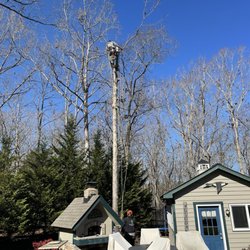 Tree Techs of Rock Hill