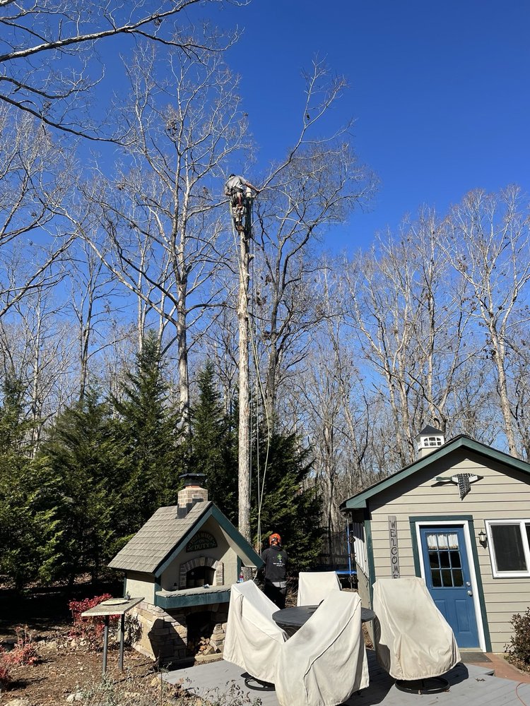 Snc Tree Tech TREE TECHS OF ROCK HILL - Updated June 2026 - Edgemoor, South Carolina ...