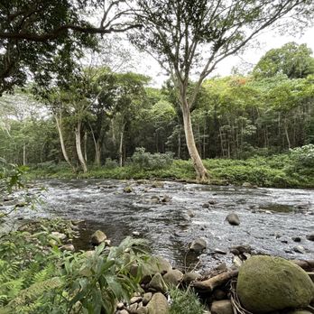 Duke's Kayak Adventure - Beautiful Wailua River - Rafting/Kayaking Near Me - Kapaa, Hawaii