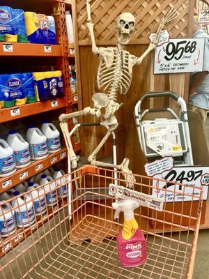 The Home Depot by null