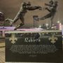 Steve Gleason Rebirth