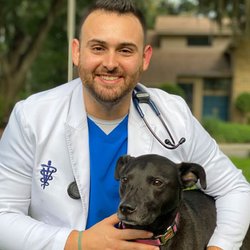 Orange Park Animal Hospital - Oakleaf