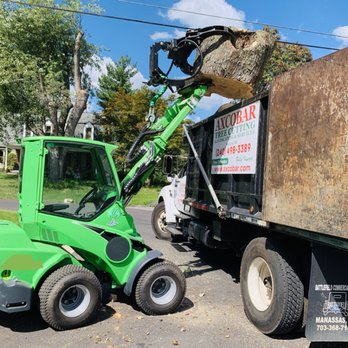 Axcobar Tree Experts - Coming Stronger.Turf Friendly articulated loader. - Tree Services Near Me - Rockville, Maryland Axcobar Tree Experts - Coming Stronger.Turf Friendly articulated loader. - Tree Services Near Me - Rockville, Maryland
