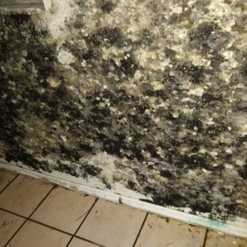 Pro Dry Restoration - Damage Restoration Near Me Pro Dry Restoration - Damage Restoration Near Me