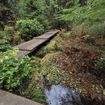 Bloedel Reserve - Parks Near Me - Bainbridge Island, Washington Bloedel Reserve - Parks Near Me - Bainbridge Island, Washington