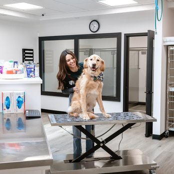 Heart + Paw - Veterinarians Near Me - Philadelphia, Pennsylvania Heart + Paw - Veterinarians Near Me - Philadelphia, Pennsylvania