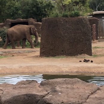 Honolulu Zoo - What's that smell? - Zoos Near Me - Honolulu, Hawaii