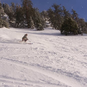 Mt Baldy Resort - P.K. on Lower Psych-out, above parking lot Baldy Springtime - Ski Resorts Near Me - Mount Baldy, California Mt Baldy Resort - P.K. on Lower Psych-out, above parking lot Baldy Springtime - Ski Resorts Near Me - Mount Baldy, California