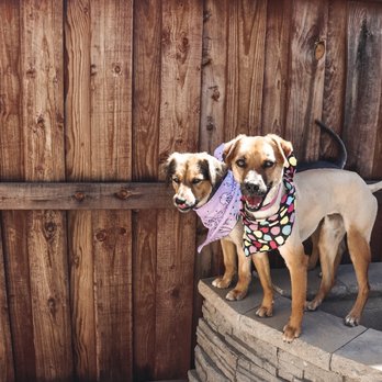 Animal Kingdom - Pet Groomers Near Me - Colton, California Animal Kingdom - Pet Groomers Near Me - Colton, California