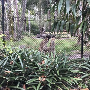 Naples Zoo - scarlet and pia - Zoos Near Me - Naples, Florida
