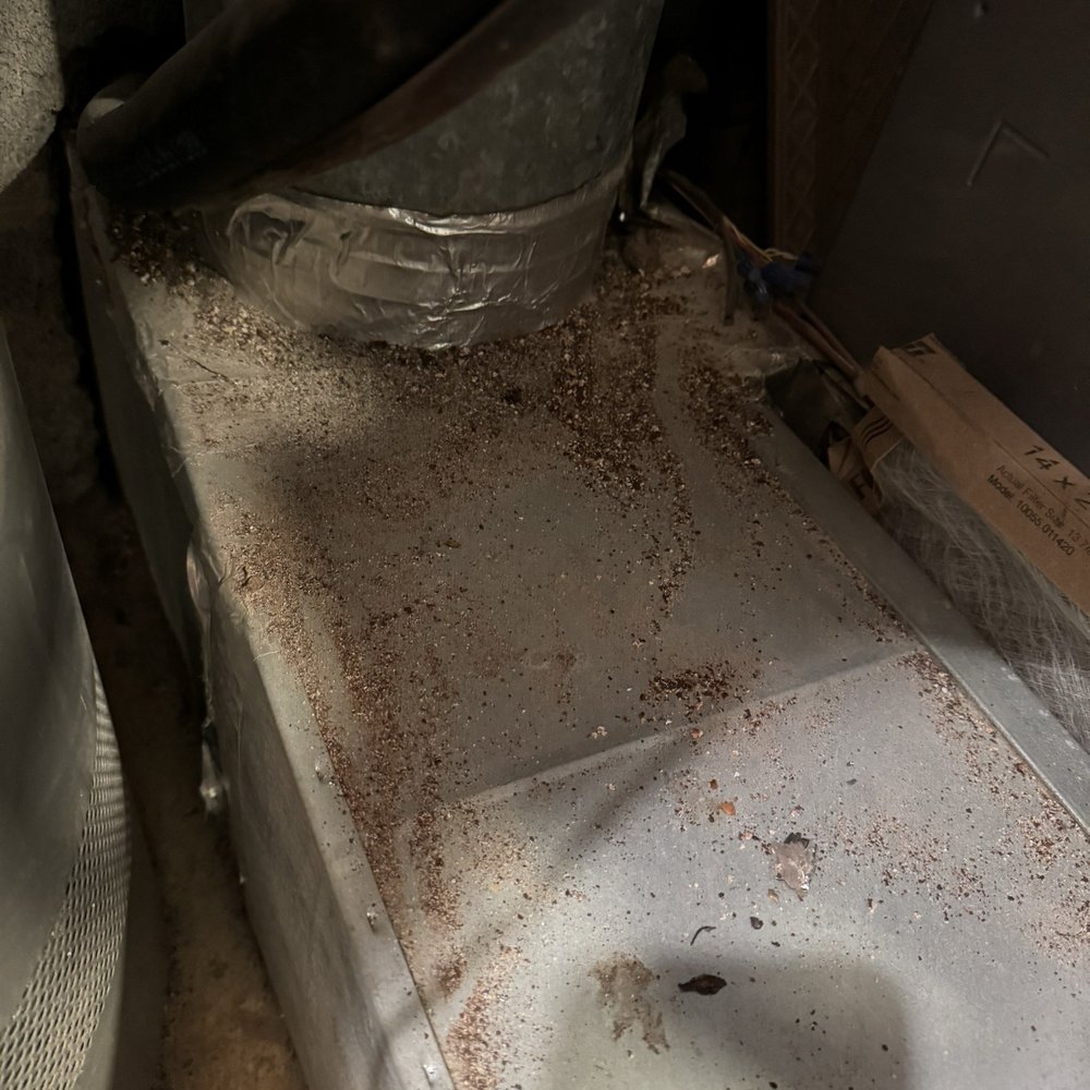 Action Chimney & Home Improvement - Debris left in utility closet prior to cleaning it as the customer, myself - Chimney Sweeps Near Me Action Chimney & Home Improvement - Debris left in utility closet prior to cleaning it as the customer, myself - Chimney Sweeps Near Me