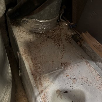 Action Chimney & Home Improvement - Debris left in utility closet prior to cleaning it as the customer, myself - Chimney Sweeps Near Me Action Chimney & Home Improvement - Debris left in utility closet prior to cleaning it as the customer, myself - Chimney Sweeps Near Me
