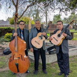 Mariachi & Trio Fabuloso