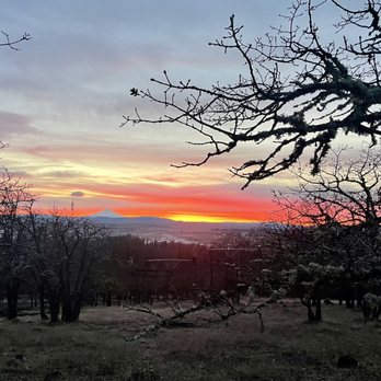 Walela Therapeutics - Massage Therapy Near Me - Goldendale, Washington Walela Therapeutics - Massage Therapy Near Me - Goldendale, Washington