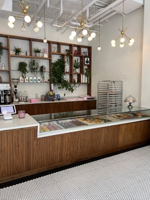 Coco Donuts & Coffee Williams by null
