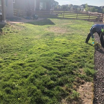 Rivera’s Landscaping and Construction - a boy in a yard - Fences & Gates Near Me Rivera’s Landscaping and Construction - a boy in a yard - Fences & Gates Near Me