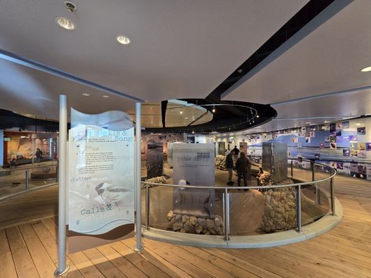 Bear River Migratory Bird Refuge