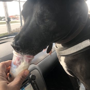 Wendy's - a dog drinking milk from a cup - Burgers Near Me - Grove City, Ohio Wendy's - a dog drinking milk from a cup - Burgers Near Me - Grove City, Ohio