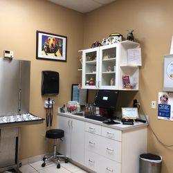 Brookside Animal Hospital - Exam room