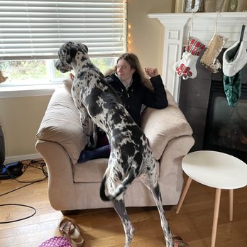 Healing Paws Training - Me and Callie love each other - Pet Training Near Me - West Linn, Oregon