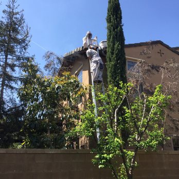 We Save Bees - Pest Control Near Me - Lake Forest, California We Save Bees - Pest Control Near Me - Lake Forest, California