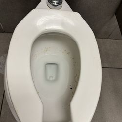 The nasty toilet