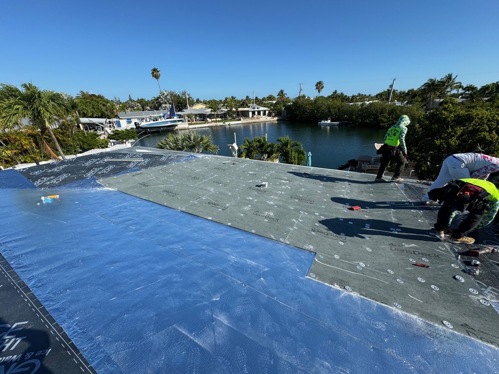 Slide of Roof Assassins