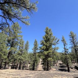 Bonito Campground