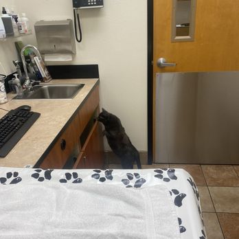 Freckles and Friends Pet Clinic - Veterinarians Near Me - Long Beach, California Freckles and Friends Pet Clinic - Veterinarians Near Me - Long Beach, California