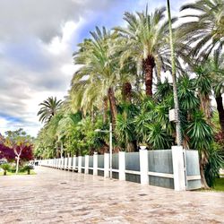 Parque Municipal - Parque Municipal