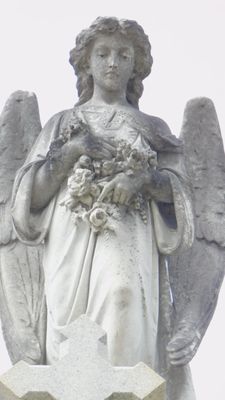 Metairie Cemetery by null