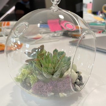 Succulence - Team Building Activities Near Me
