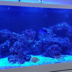 Hudson River Radiology - Lobby Salt Walter Tank