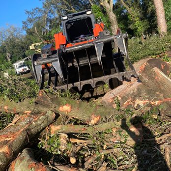 Wade's Tree Service - We got the equipment Kubota skid steer - Tree Services Near Me - Plant City, Florida Wade's Tree Service - We got the equipment Kubota skid steer - Tree Services Near Me - Plant City, Florida