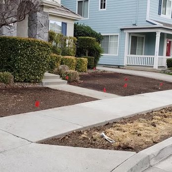 Zaragoza Tree Services - Zaragoza Tree Services - Tree Services Near Me - Concord, California Zaragoza Tree Services - Zaragoza Tree Services - Tree Services Near Me - Concord, California
