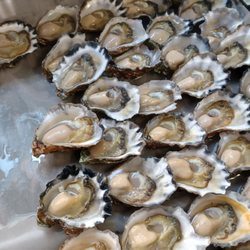 Jenkins Oysters - FRESHLY SHUCKED DAILY