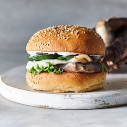 Galaxy Burger