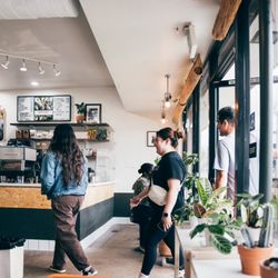 Patria Coffee Roasters