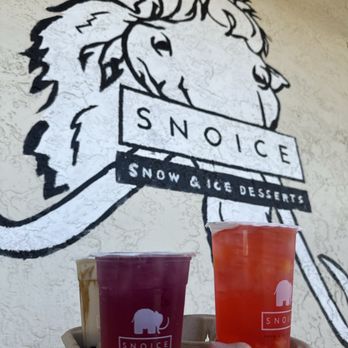 Snoice - Favorite drinks! - Bubble Tea Near Me - Spring Valley, California Snoice - Favorite drinks! - Bubble Tea Near Me - Spring Valley, California
