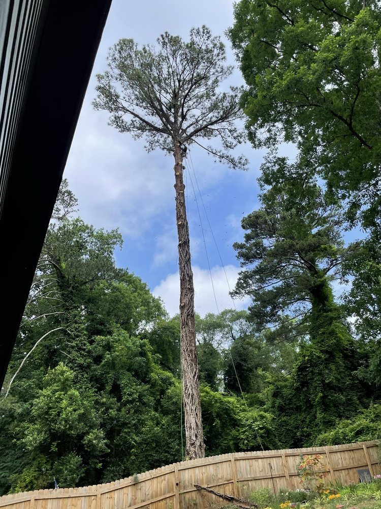 EastLake Tree Services - tree service in Atlanta, GA