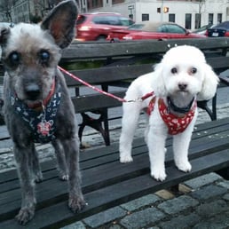 Buddy and Daisy Buddy and Daisy